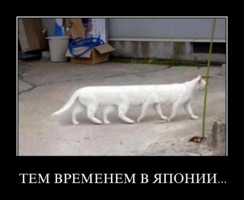 Прыжок во времени - в Фукусиме это возможно