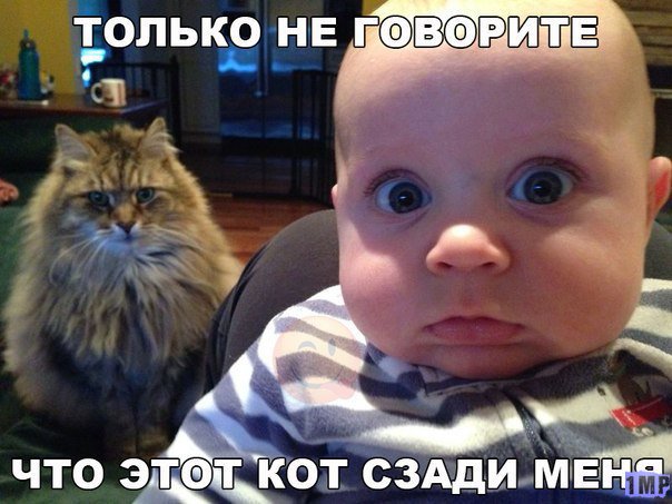 Картинки с этих ваших интернетов.
