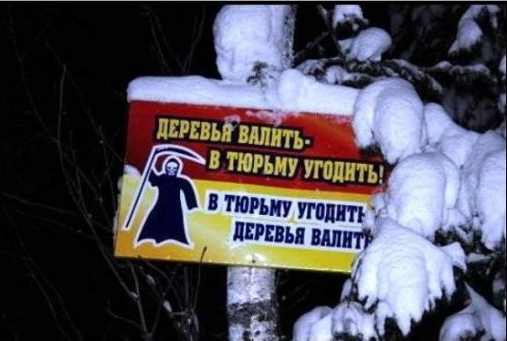 Прикольные надписи и объявления