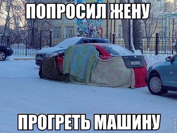 Прикольные картинки