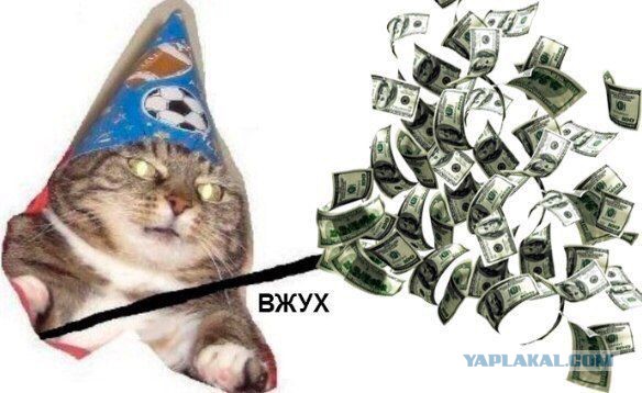 Подборка интересных и веселых картинок