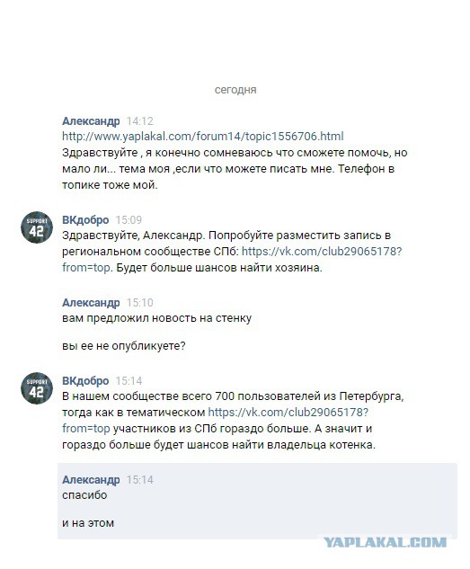 Внимание ЯП нужна помощь котику , ищем хозяина! (9 фото)