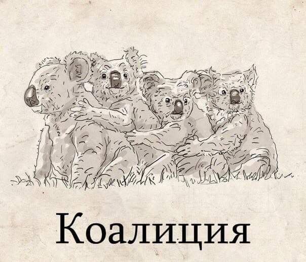 Подборка интересных и веселых картинок