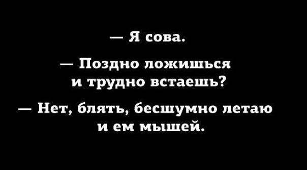 22 фото, доказывающих, что мы живем в мире, полном безумия и абсурда