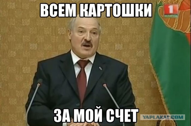 Самые известные мемы в истории Интернета