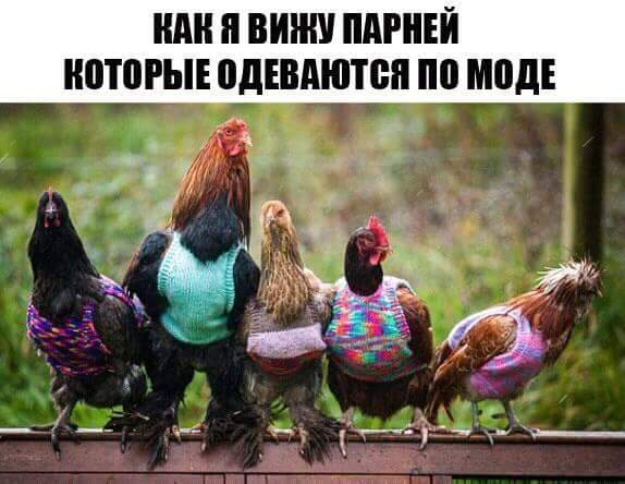 Календарь намекает, что сегодня - суббота...