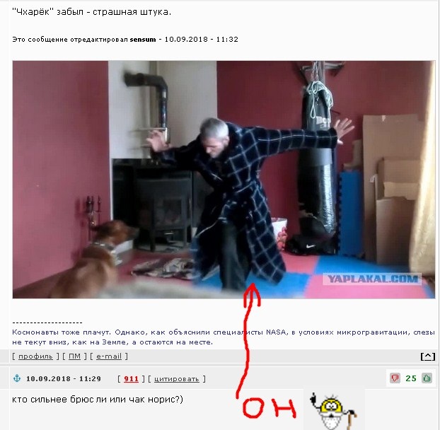 Самые бесполезные боевые стили для реальной драки