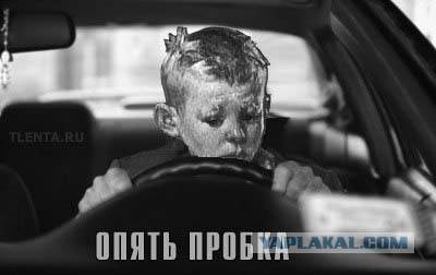 Как перевозят кремлевскую елочку