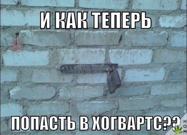 Прикольные картинки абавсём