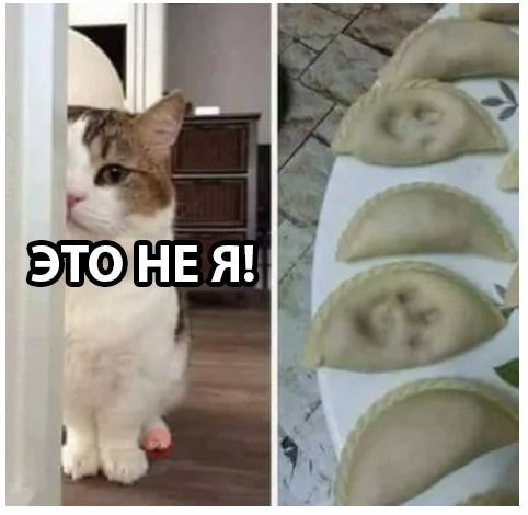 Картинки с надписями и анекдоты 24.7.19