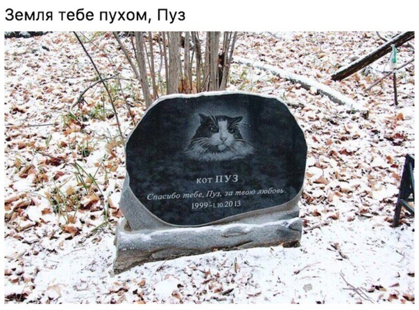 Немного картинок с надписями и без - 27