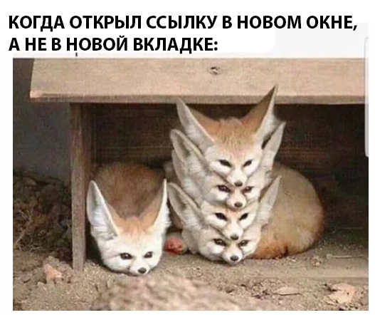Картинки и мемы для настроения 25