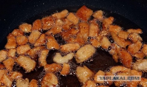 Опасны ли патроны с солью?