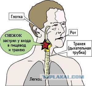 Фотожаба: Снежок от Обамы