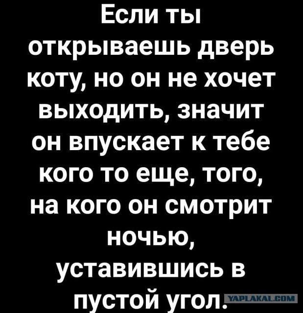 Картинки с текстом. Может даже местами 10+
