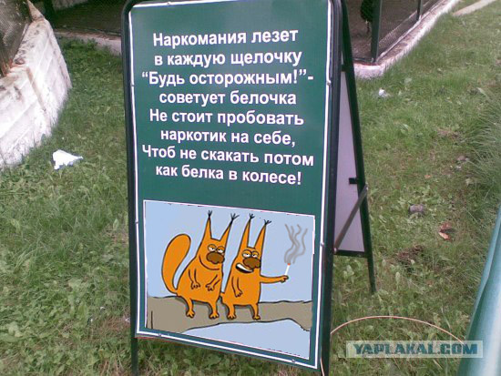 Наркомания в Красноярском зоопарке