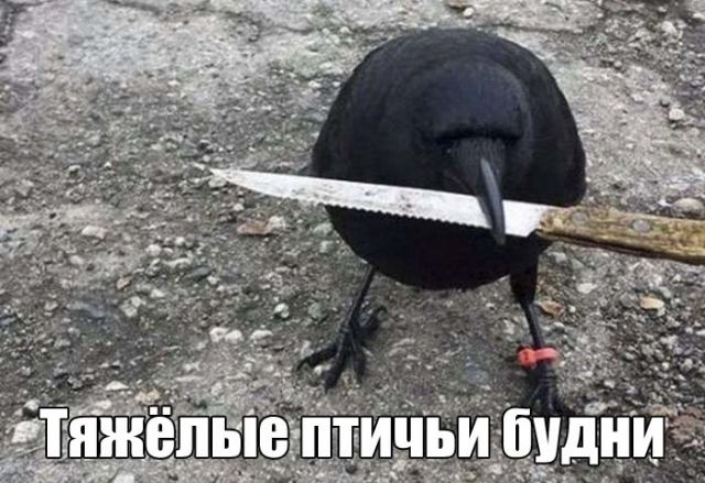 Юмор в картинках 30.08.20