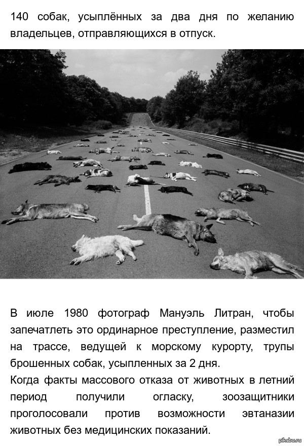 Каждое лето такое бывает