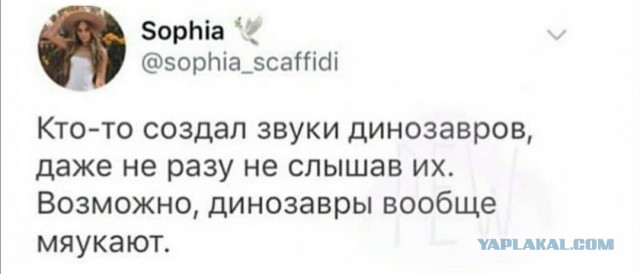 Картинки с надписями и всякие жизненные фразы