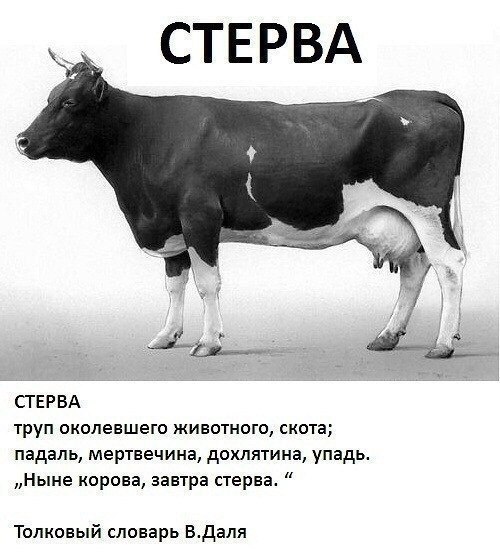 Картинки, соцсети, и всякие жизненные фразы