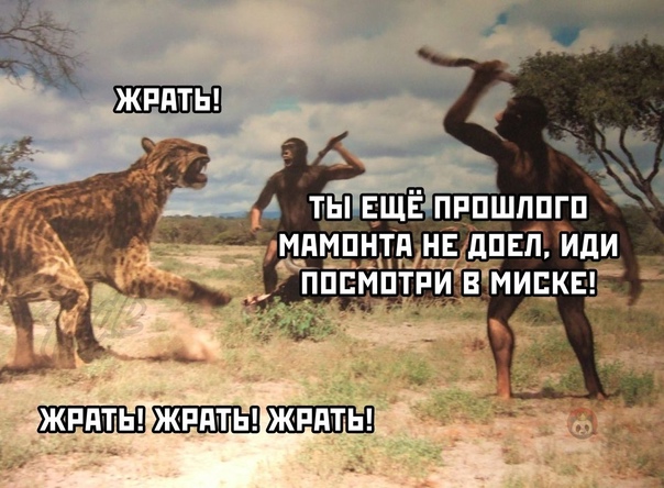 Опять 25! 26.12.2020