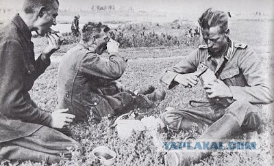 Пили бы баварское, говорите?