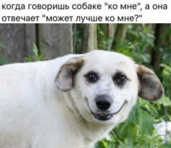 Прикольные и просто красивые картинки 14.01.2021