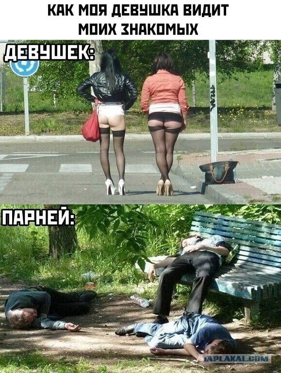 Весёлый полтишок 5.04