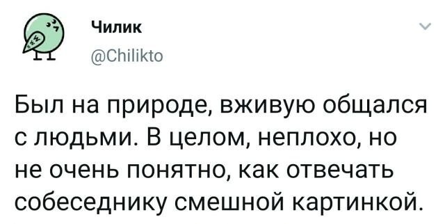Насохранял