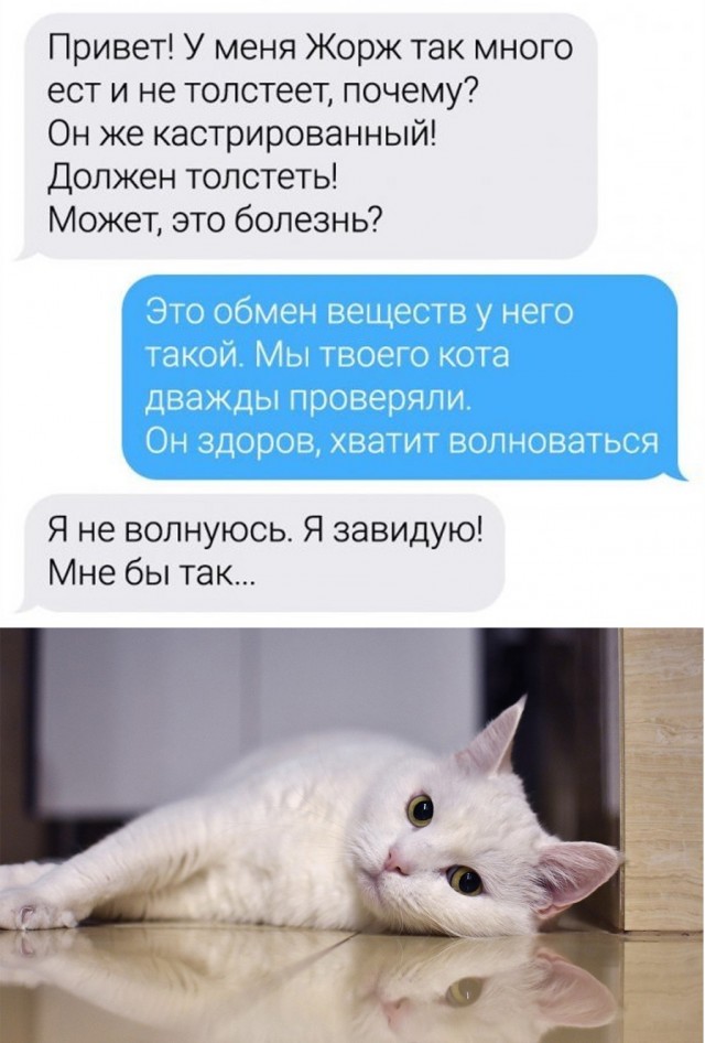 Кретинизмы из сети 19.08.2021