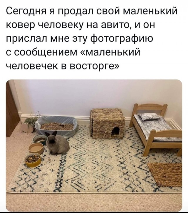 Так себе картинки 14.10.21