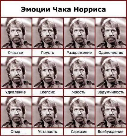 Прикольные картинки на сколько крут Чак Норис