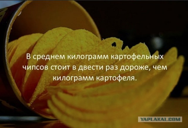 70 удивительных фактов