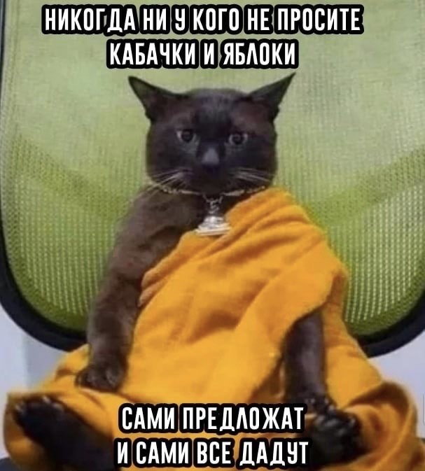 Картинки и мемы из Сети 24.07.22