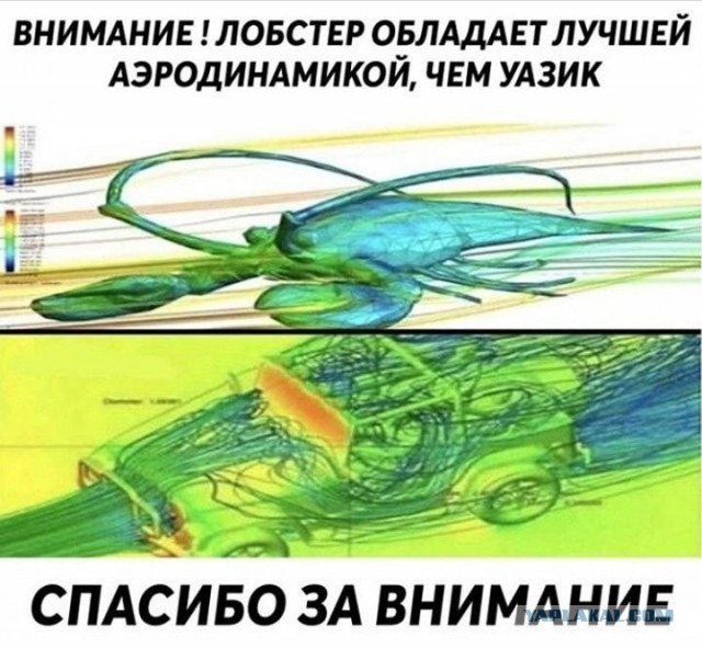 Народная меДИЧина 7.08