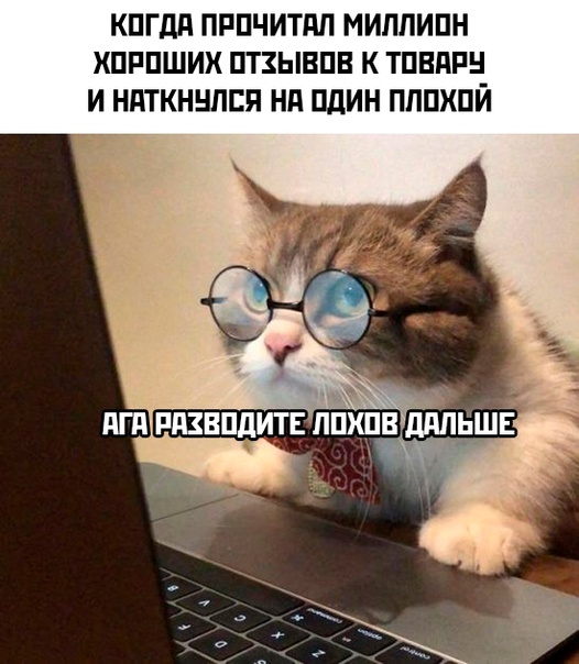 Немного картинок для настроения - 137