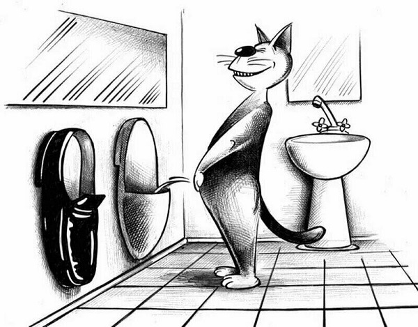Короткие истории и случаи из жизни: 14.01.23