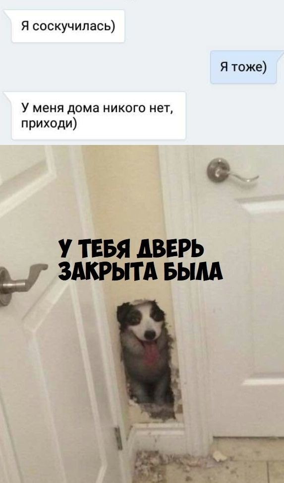 Немного пошлых картинок 08.05.23