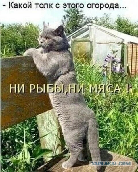 "Меня зовут Арлекино": суть женщин не меняется  в любые времена