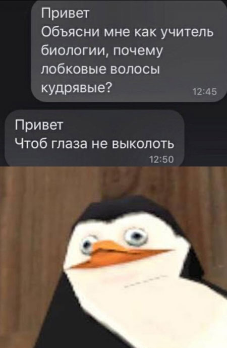 Весёлый полтишок 26.10.23