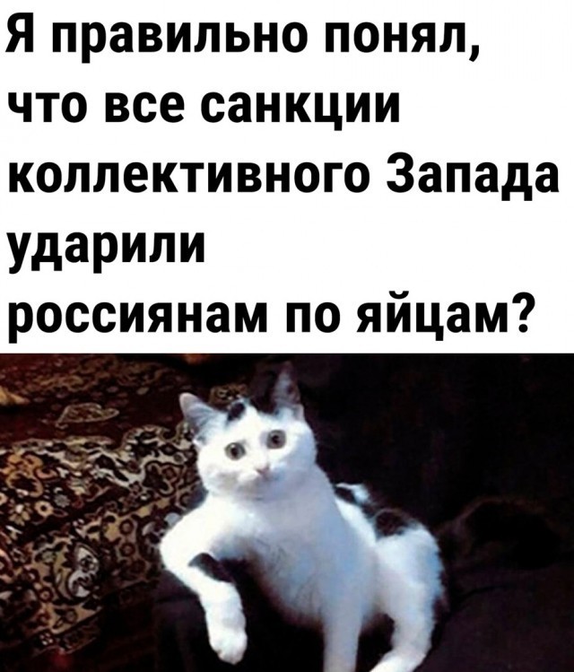 В Госдуме объяснили рост цен на яйца тем, что россияне стали больше есть