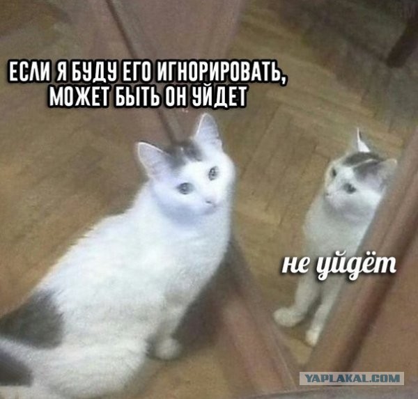 Прикольные и просто красивые картинки 02.02.2024