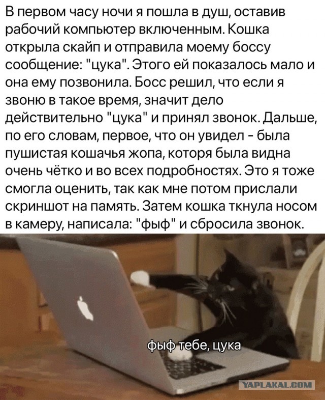 Сброс балласта. Картинки