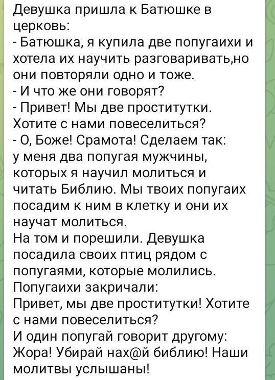 Немного забавных картинок от 22.12.24