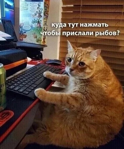 Завалялось тут случайно немного забавных картинок