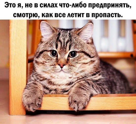 Веселые картинки в понедельник (03.03)