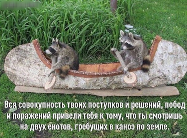 Веселые картинки в понедельник (24.03)