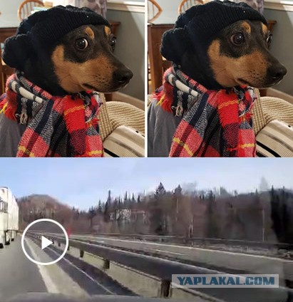 Конченный фуровод