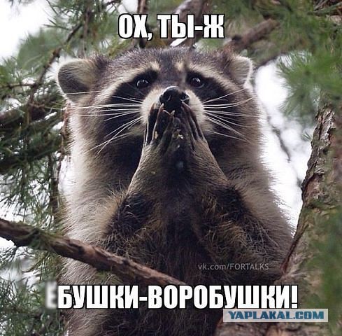 Подошел, моргнул, заселился