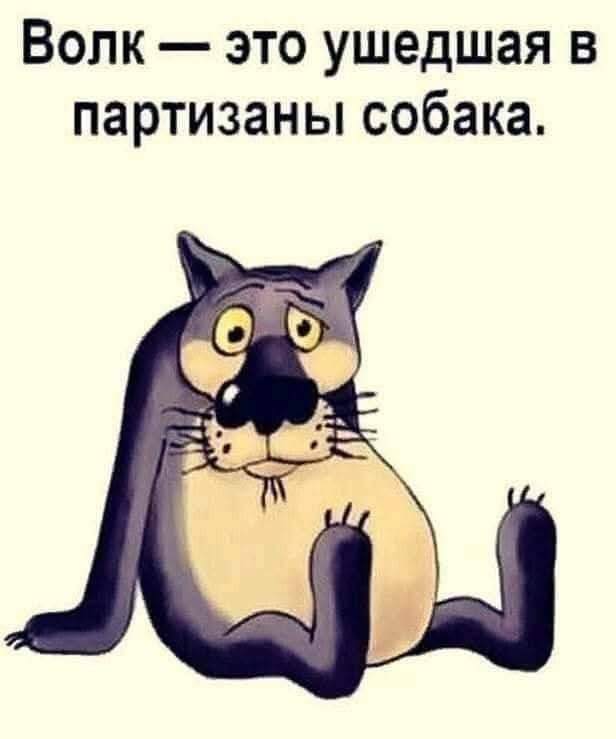 https://s00.yaplakal.com/pics/pics_original/1/4/7/20185741.jpg